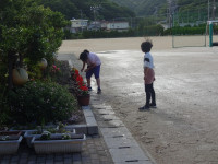 DSC01531
