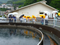 P1180889