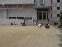 DSC01786