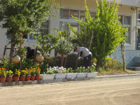 DSC02390