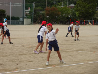 DSC02533
