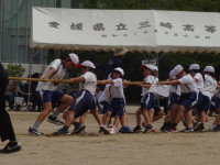 綱引き (2)