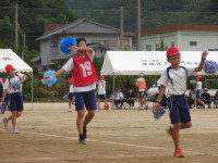 岬あじ (2)