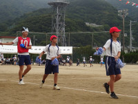 岬あじ (3)