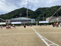 IMG_4351