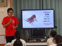 DSC02748